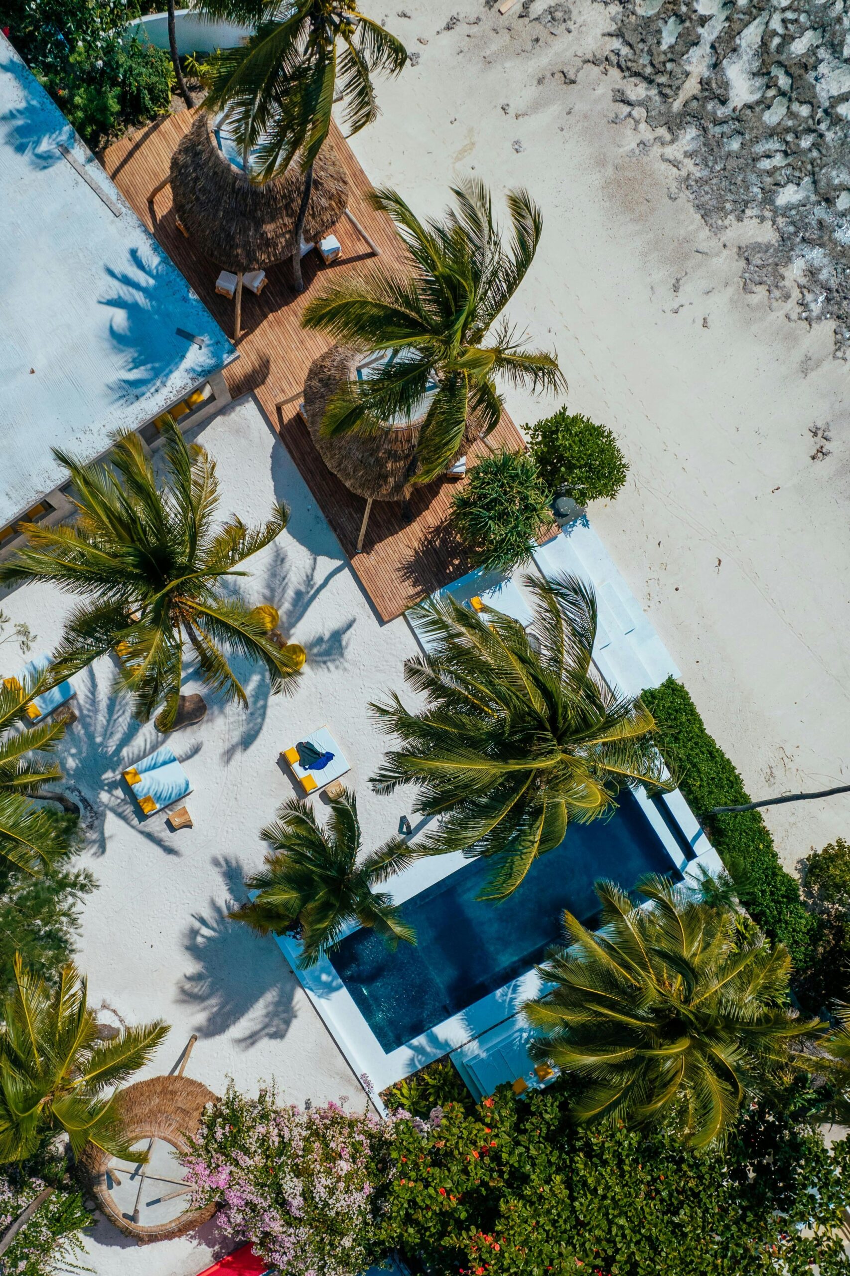 Stunning aerial view of a tropical resort with pool in Zanzibar, Tanzania.